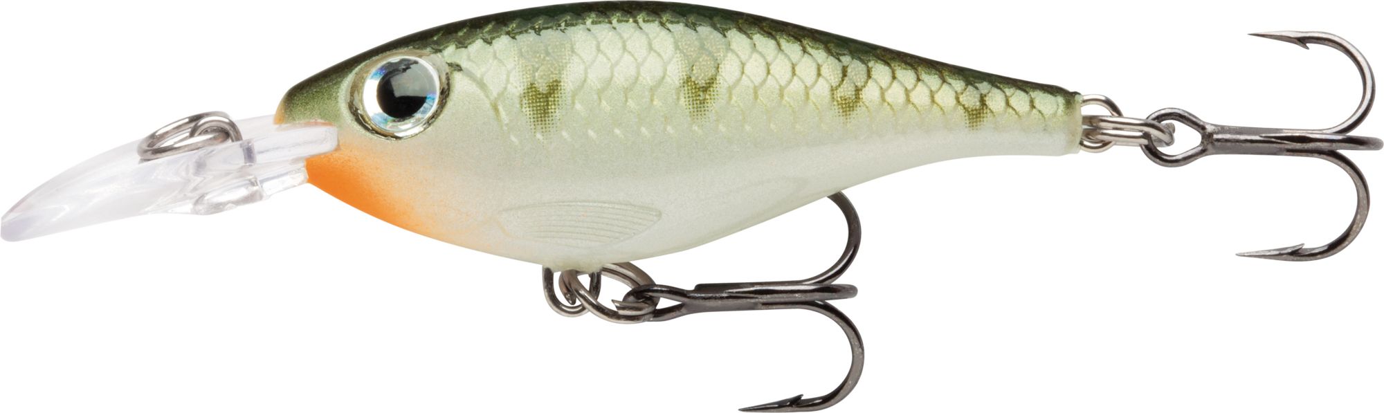 Yellow Perch