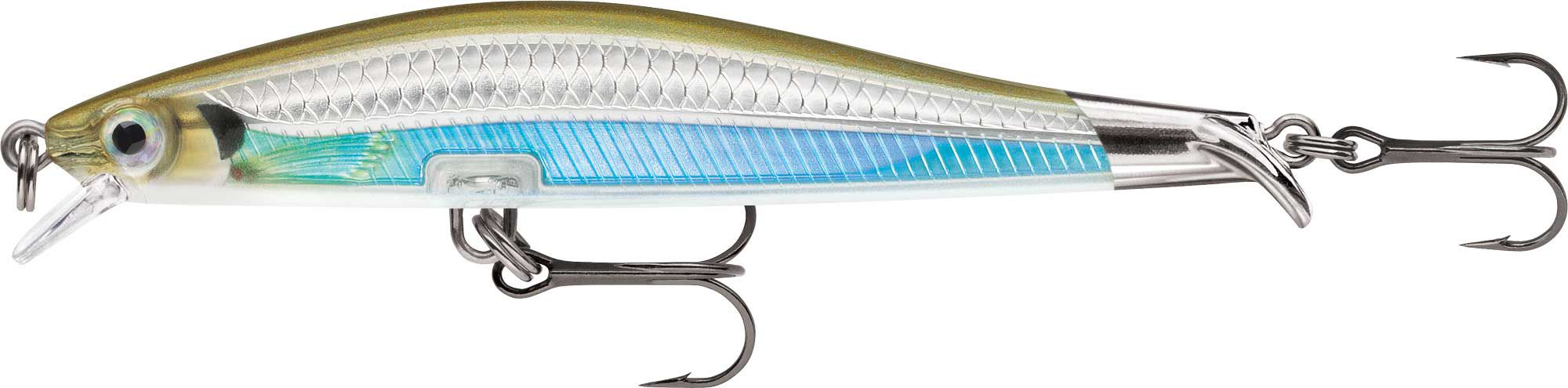 Moss Back Shiner
