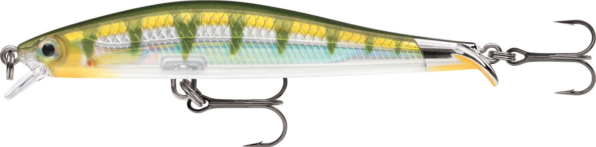 Yellow Perch