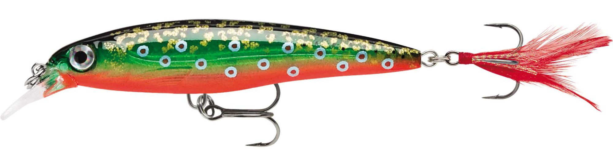 Brook Trout