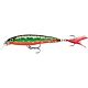 Brook Trout