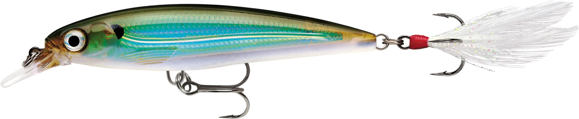 Moss Back Shiner