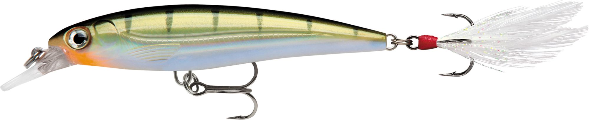 Yellow Perch