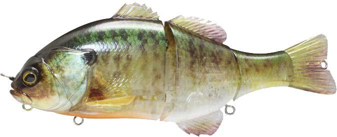 Ghost Gill