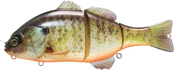 RT Bluegill