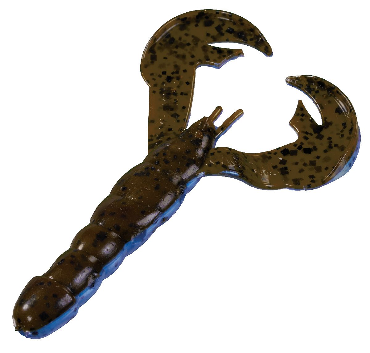 Okeechobee Craw
