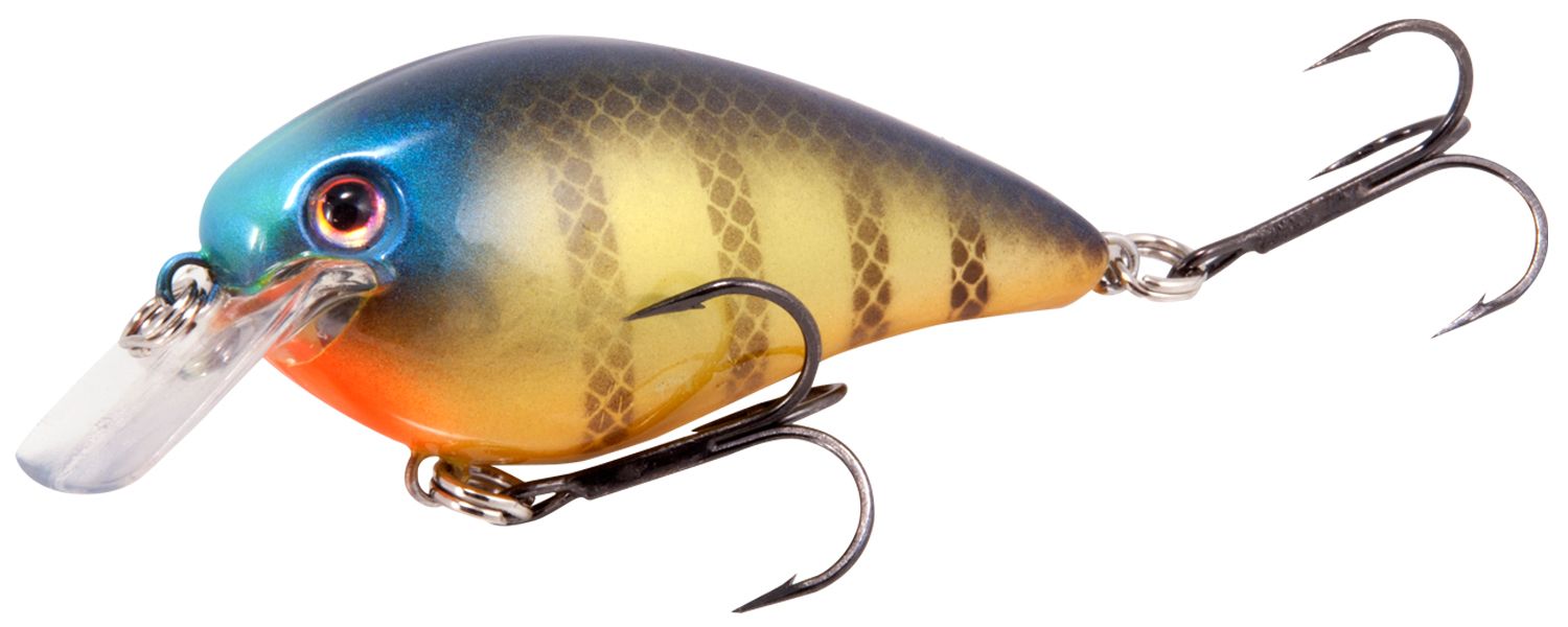 Bluegill