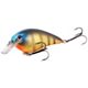 Bluegill