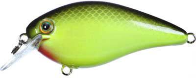 Strike King KVD Square Bill Silent Crankbait