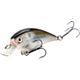 Natural Shad