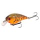 Orange Belly Craw