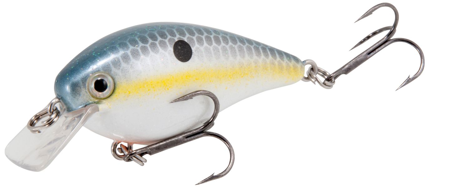 Sexy Shad