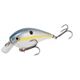 Sexy Shad