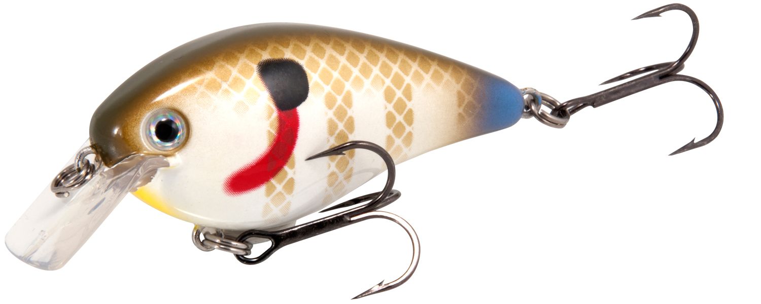 Sexy Sunfish