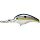 Ultra Sexy Shad