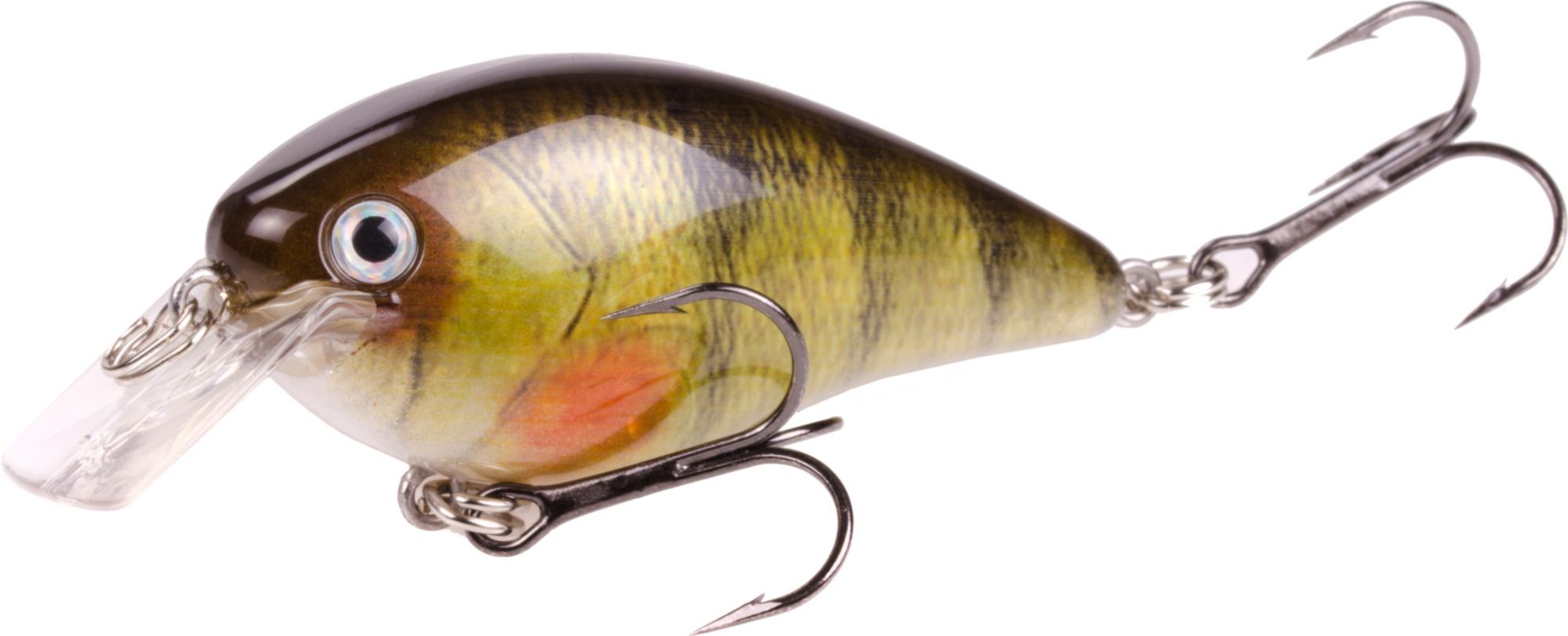 Yellow Perch