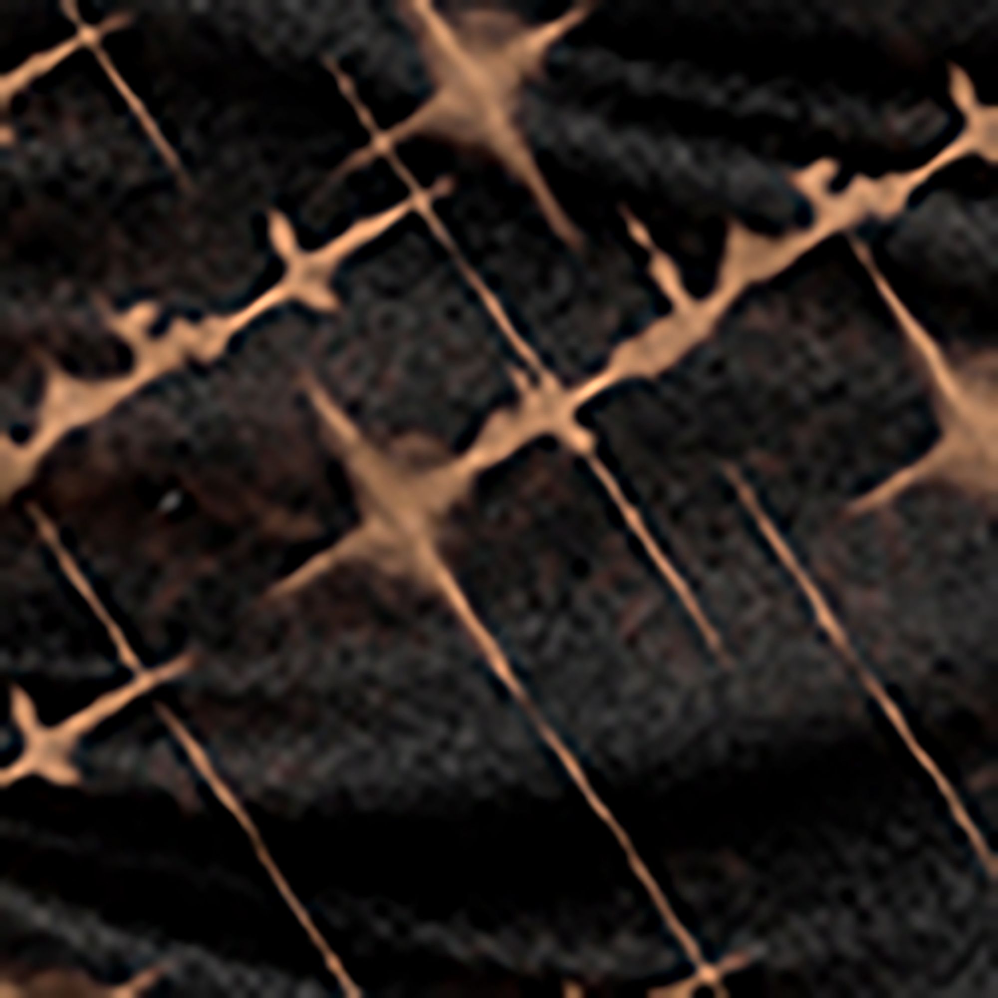 Shibori Print