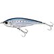 Sardine