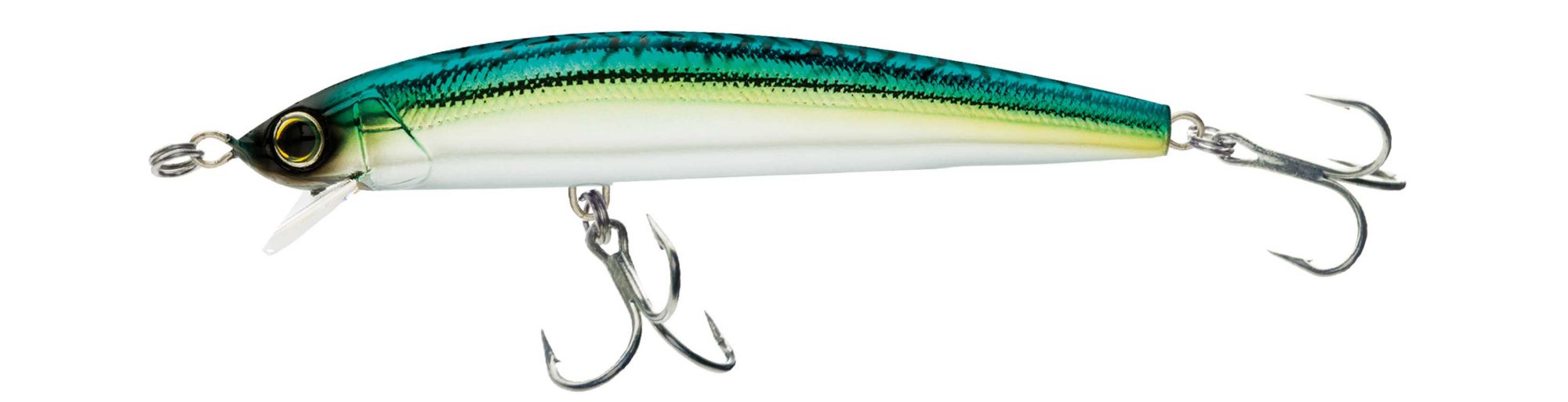 Green Mackerel
