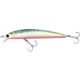 Mackerel