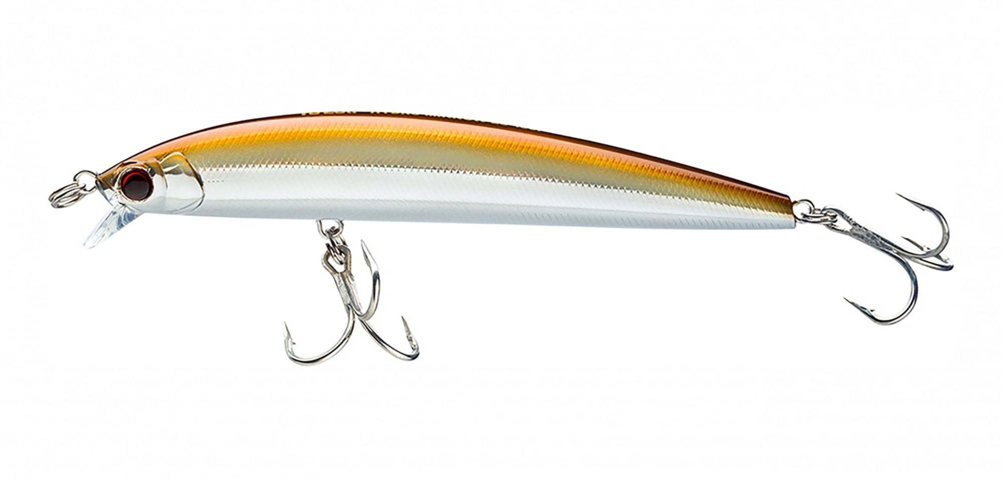 Sand Eel