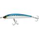 Sardine