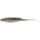 Bait Fish