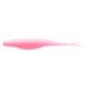 Bubble Gum