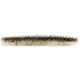 Mud Minnow