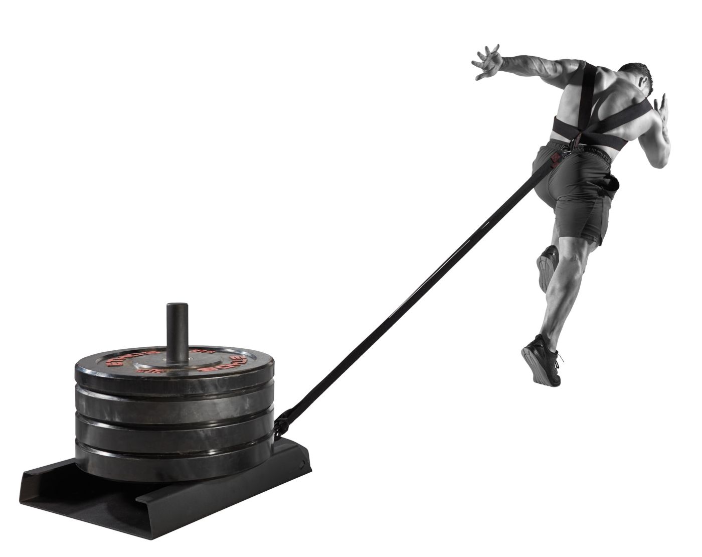 ETHOS Speed Sled DICK'S Sporting Goods