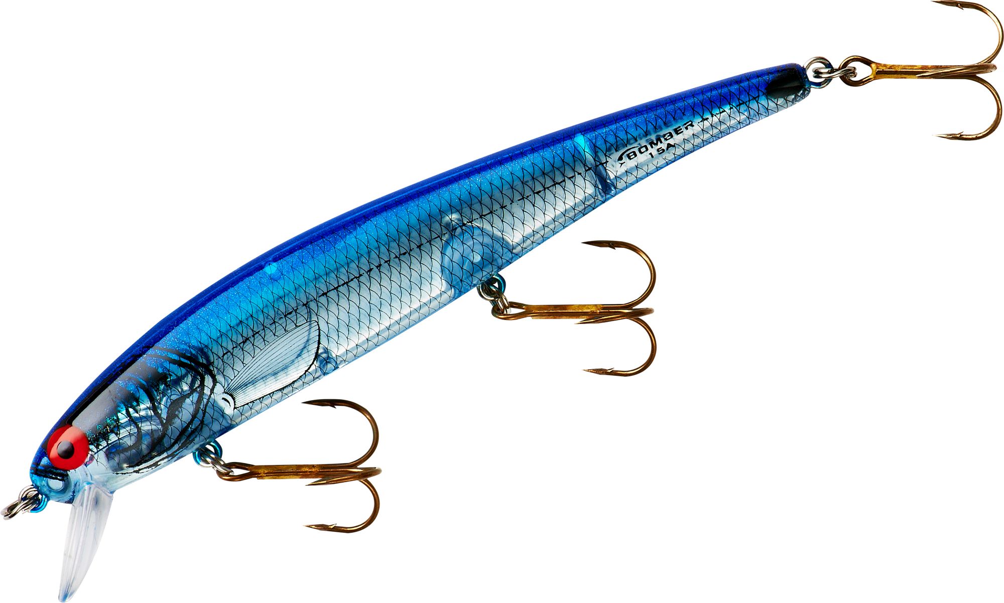 Silver Flash Blue Back
