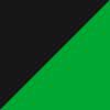 Shiny Black Green