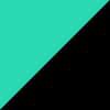 Black/Mint