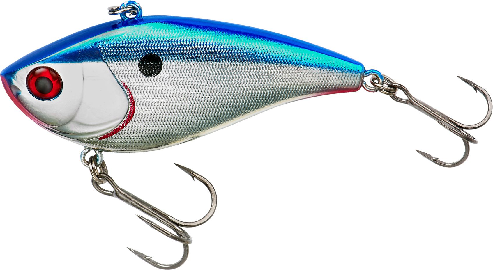 Blue Shiner