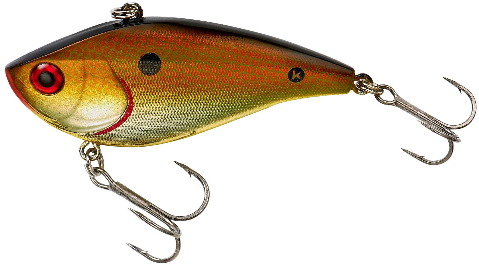 Copper Shiner