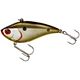 Gold Shiner