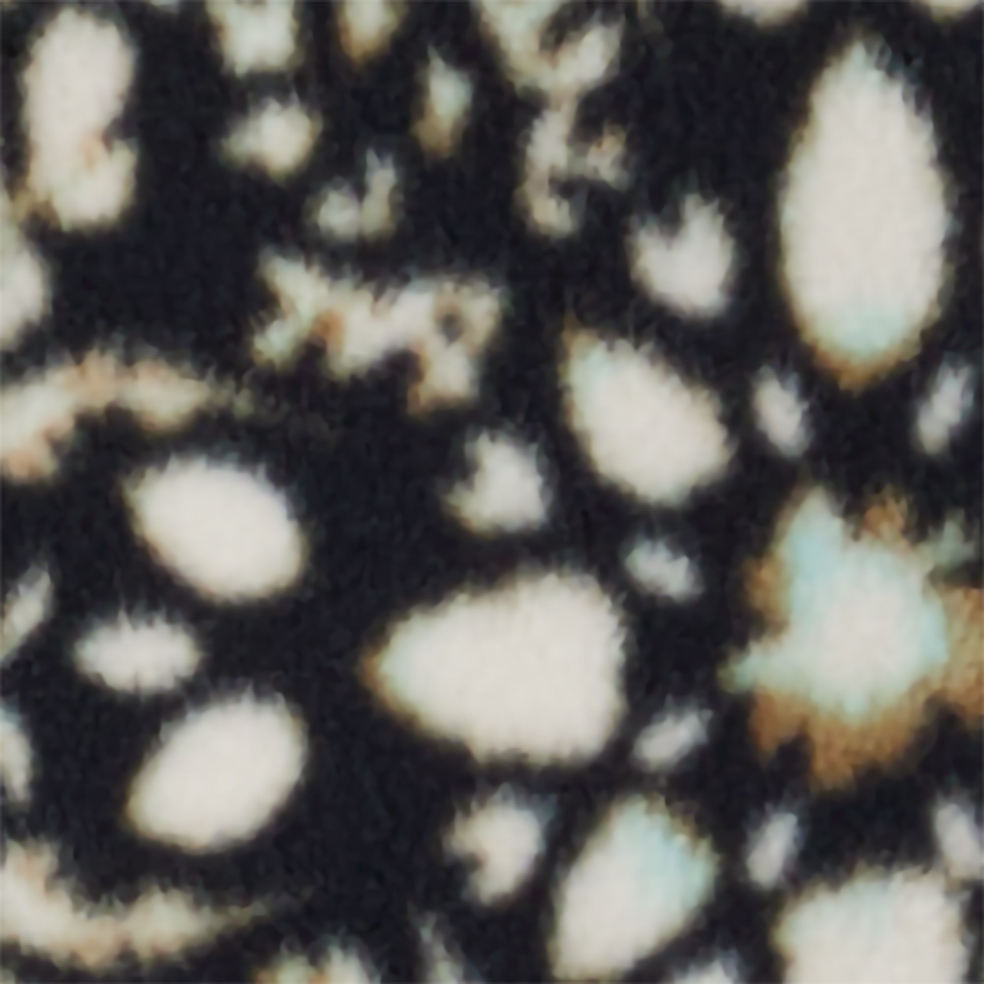 Black Polarize