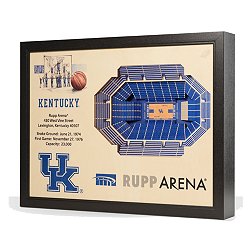 You the Fan Kentucky Wildcats 25-Layer StadiumViews 3D Wall Art