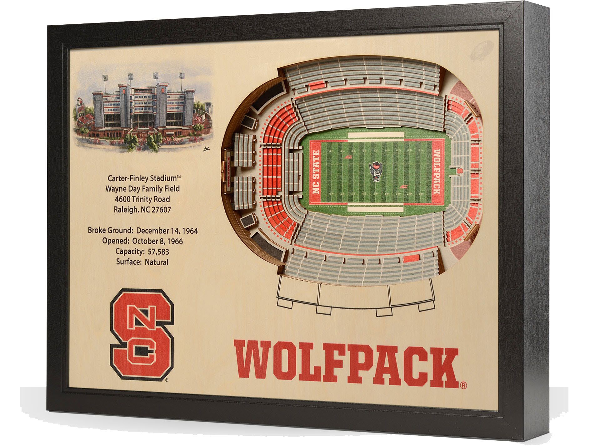 YouTheFan North Carolina State Wolfpack 25-Layer StadiumViews 3D Wall Art