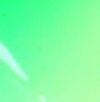 Green/White