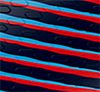 Red/White/Blue/Gold