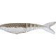 Tennessee Shad