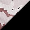 Desert Camo