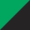 Black/Teal