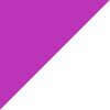 Purple/Navy