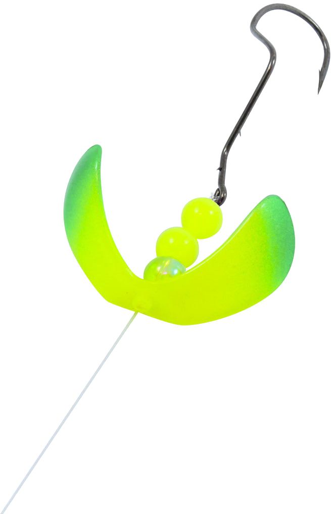 Parakeet