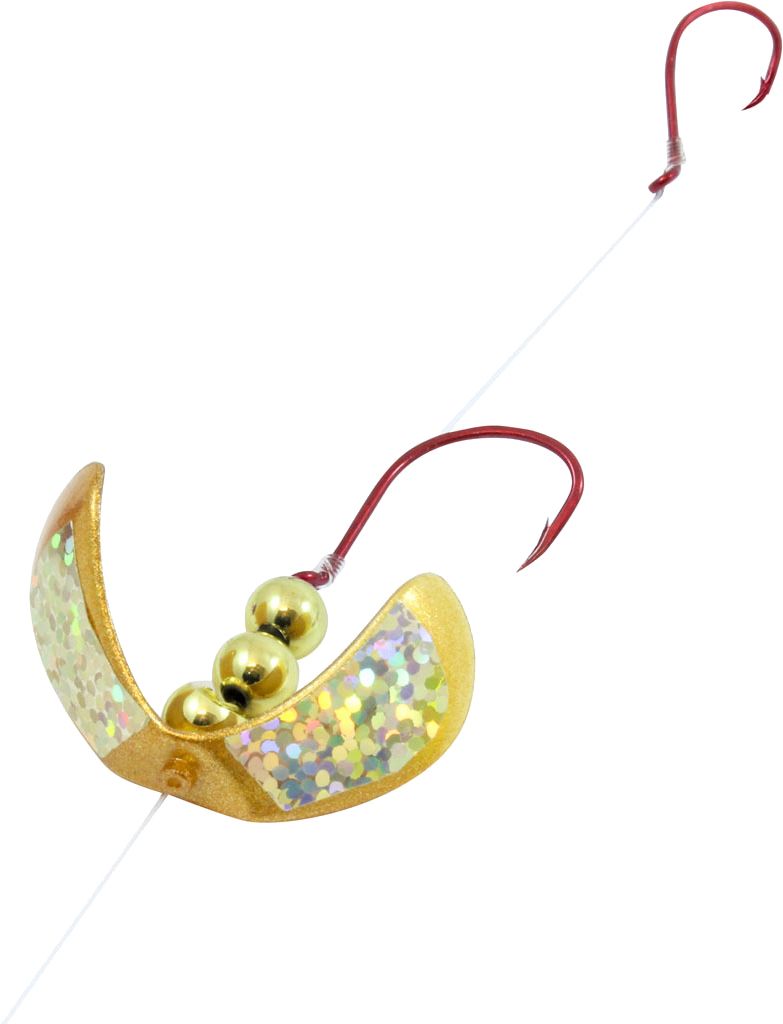 Gold Shiner