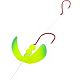Parakeet