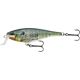 Live Bluegill