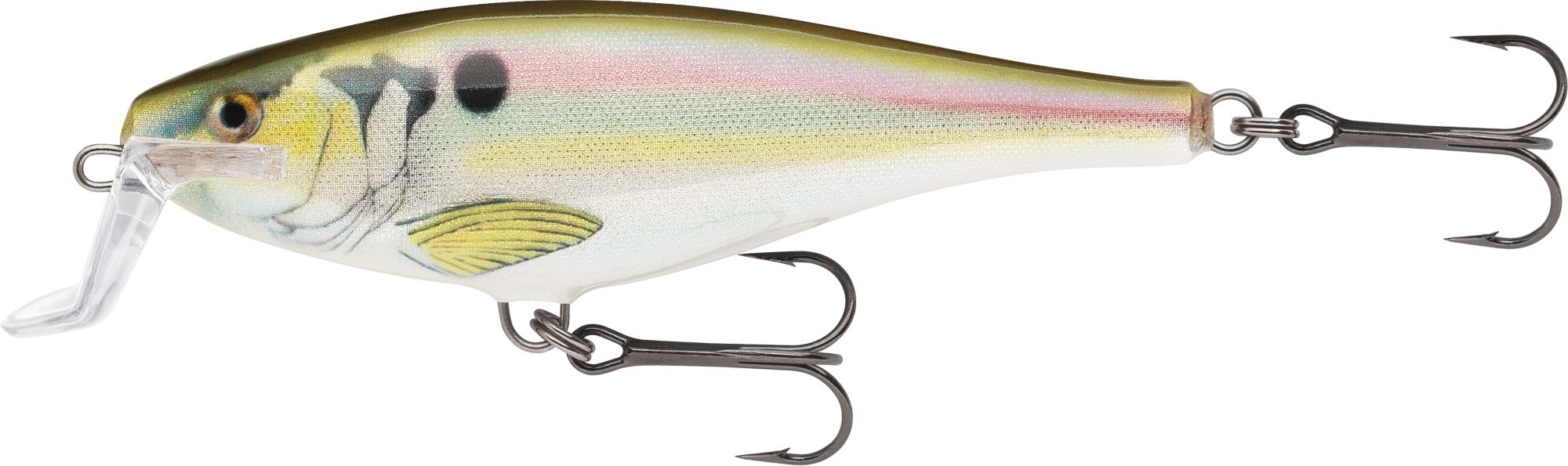 Live River Shad